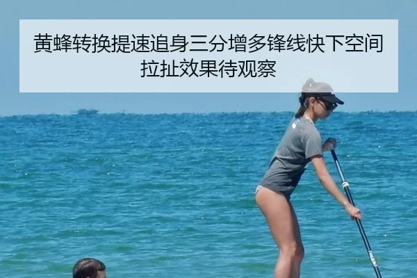 黄蜂转换提速追身三分增多锋线快下空间拉扯效果待观察